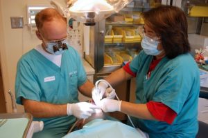 dentistry in Singapore
